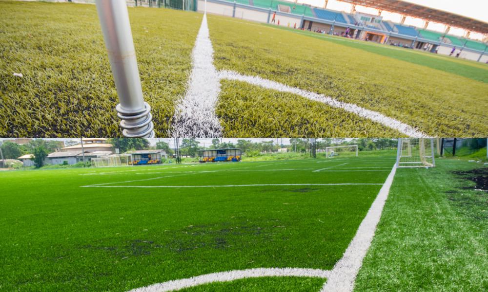 Artificial Grass and Turf