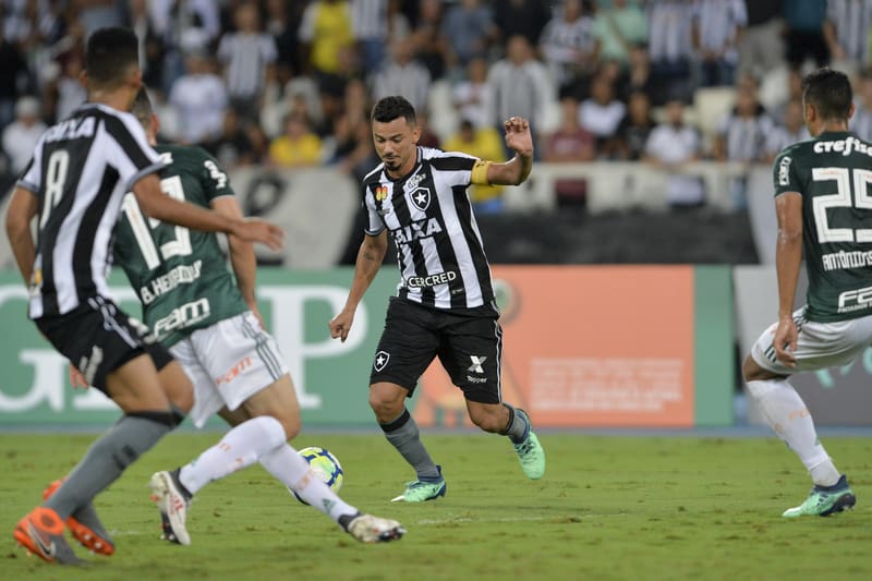 Palmeiras competes in the Brazilierio Serie A