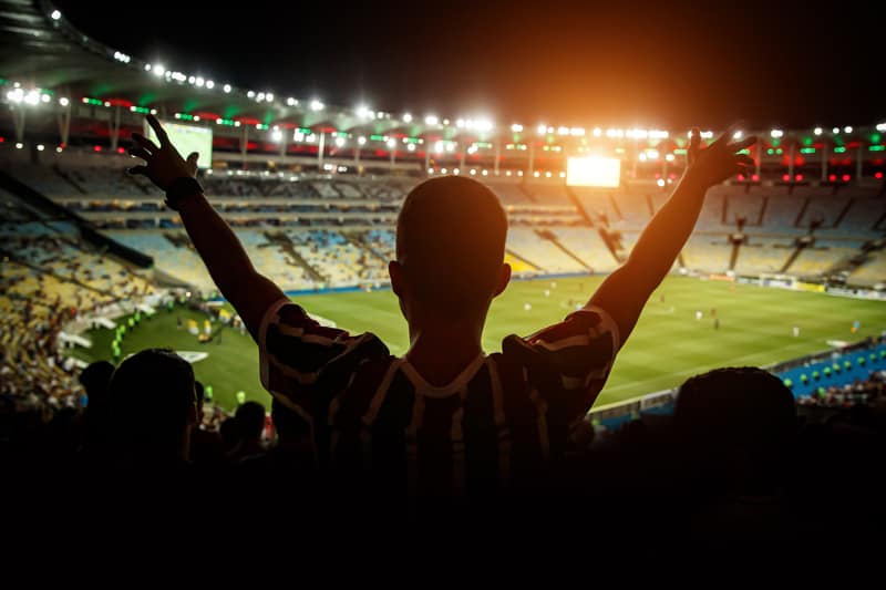 Soccer Stadium Fans