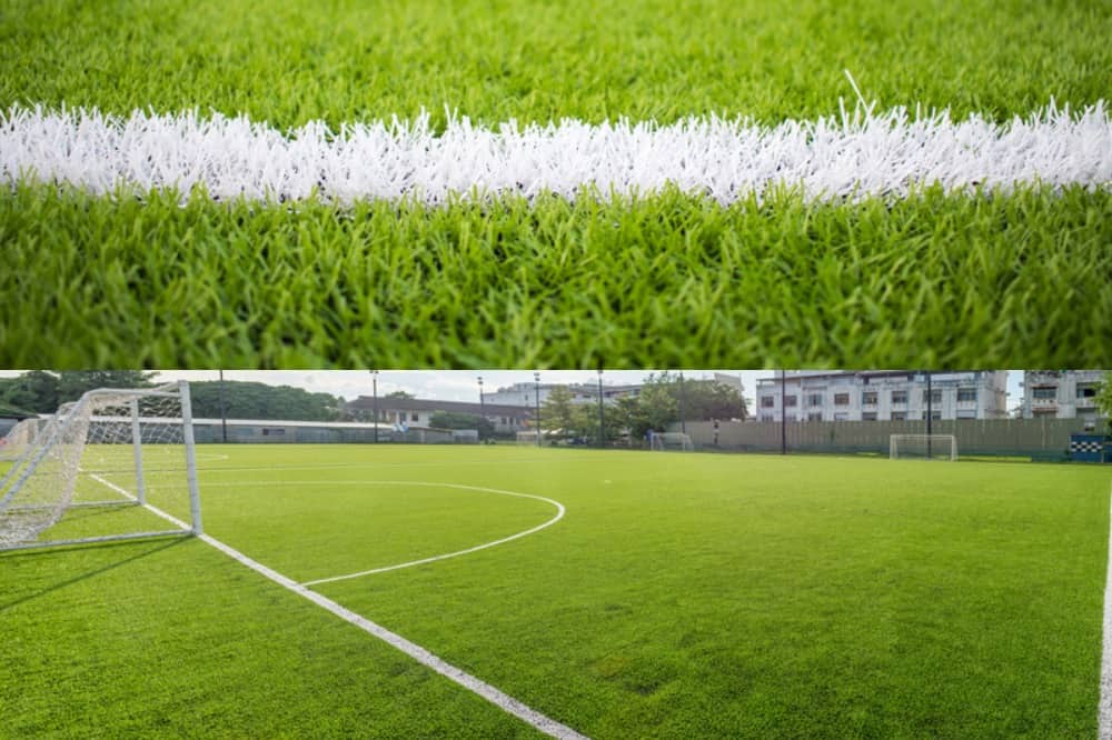 Artificial Grass vs Turf